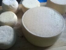 Искусство органического виноделия
