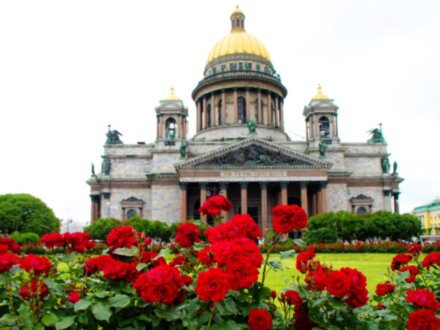 Фейк-тур: 12 невероятных историй Петербурга!