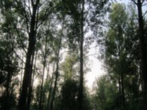 Велопрогулка по окрестностям