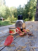 Прогулка на лошадях в карельском лесу