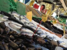 Урсинада — фестиваль морских ежей на Голубом побережье
