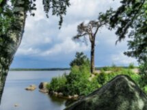 Монрепо сквозь времена и судьбы
