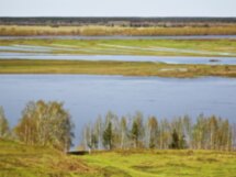 Путешествие в Есенинскую Русь