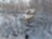 Бердские скалы, водопады и Святой Ключ