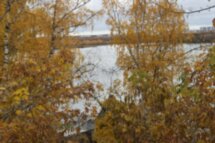 Автобусная экскурсия «Самобытный Городец»