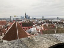 Радости и горести жизни в Средневековье