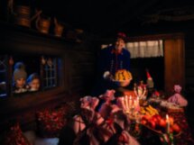 Старый город и музей Скансен в Стокгольме