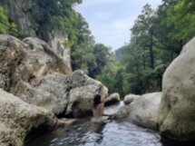 Чайная церемония в горах Сочи