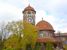 Янтарный, Филинская бухта и Светлогорск за 1 день