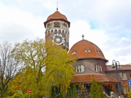 Янтарный, Филинская бухта и Светлогорск за 1 день