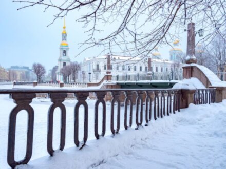 По новогоднему Петербургу с детьми!