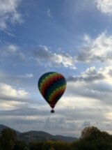 Из Сочи — на экоферму, винодельни и чайные плантации