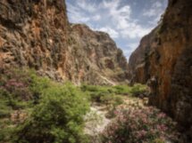 Дикая природа Крита: ущелье Арадена и южное побережье