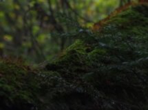 Незабываемые Хибины и сплав на байдарках