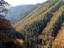 Через всю Грузию: виноградные долины, горы, море и «Боржом»