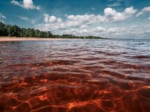 По следам янтарной комнаты