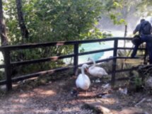 В заповедник Крка из Сплита