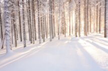 Рыбалка, олени и дикие места Кольского полуострова