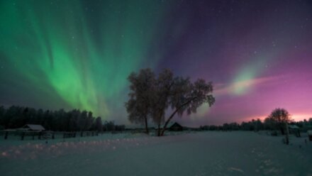 Рыбалка, олени и дикие места Кольского полуострова