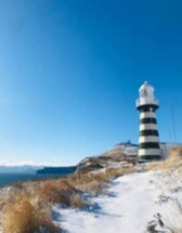 По Камчатке на внедорожнике, снегоходе и в упряжке