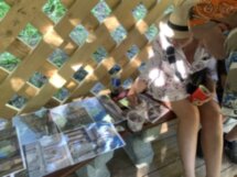 Карельский камень в архитектуре Петербурга