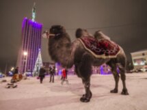 Архангельск — первое окно России в Европу