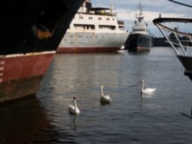 Балтийск и Балтийская коса — западный рубеж России