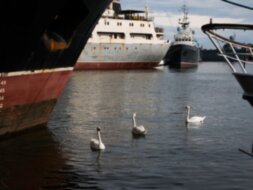 Балтийск и Балтийская коса — западный рубеж России