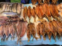 Приключения на Ольхоне: Хобой, Шаманка и острова Малого моря