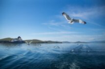 Приключения на Ольхоне: Хобой, Шаманка и острова Малого моря