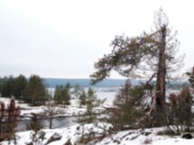 По ладожским шхерам круглый год — на аэролодке!