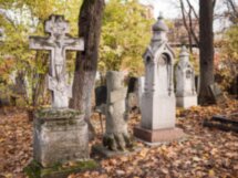 Донской монастырь: история и легенды