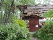Куршская коса, Зеленоградск и замок Нессельбек — влюбиться за один день!