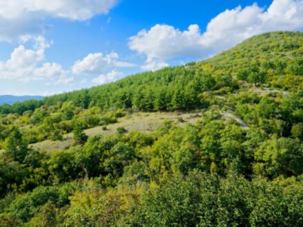 Большое путешествие в Геленджик из Анапы