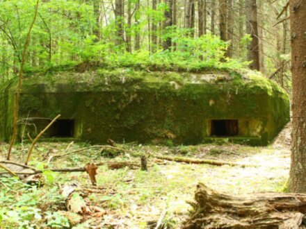 Линия Сталина и Курган Славы за 1 день