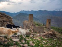 Из Махачкалы — в заброшенные аулы Гоор и Кахиб