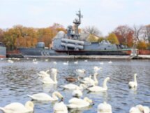 Ваш день в Калининграде или области: экскурсия-конструктор