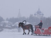 Тайны Суздаля для детей и взрослых