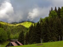 Минеральные воды, вино и хачапури на родине Маяковского
