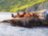 Земля чудес: восхождения, сплав на рафтах и морская прогулка на Камчатке