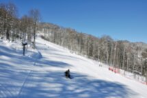 Снежное сафари — на снегоходах по Красной Поляне