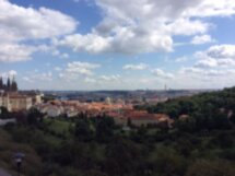 По дороге королей, или четыре часа пешком по городу