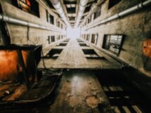Лабиринты дворов и парадных Петроградской стороны