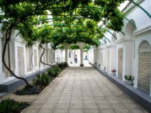 Из Алушты в Евпаторию: Розовое озеро и Малый Иерусалим