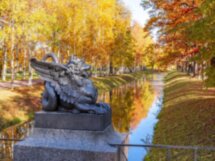 Царское Село изнутри