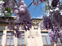 Ялта, или «Русская Ницца»