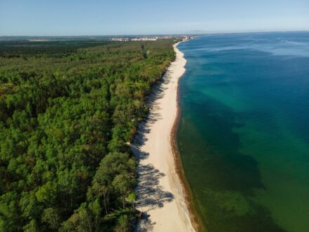 Куршская коса вдоль и поперек