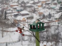 Прогулка по душевному Плесу