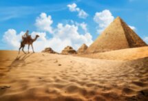 Из Шарм-эль-Шейха в Каир на комфортабельном автобусе!