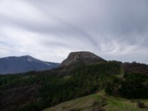 Сказки крымского леса